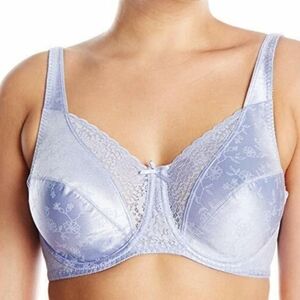 Playtex Secrets 4422 Full Figure Floral Lace Unlined Underwire Bra, Sz 42C